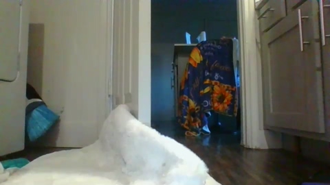 whitebootyy  27-12-2022